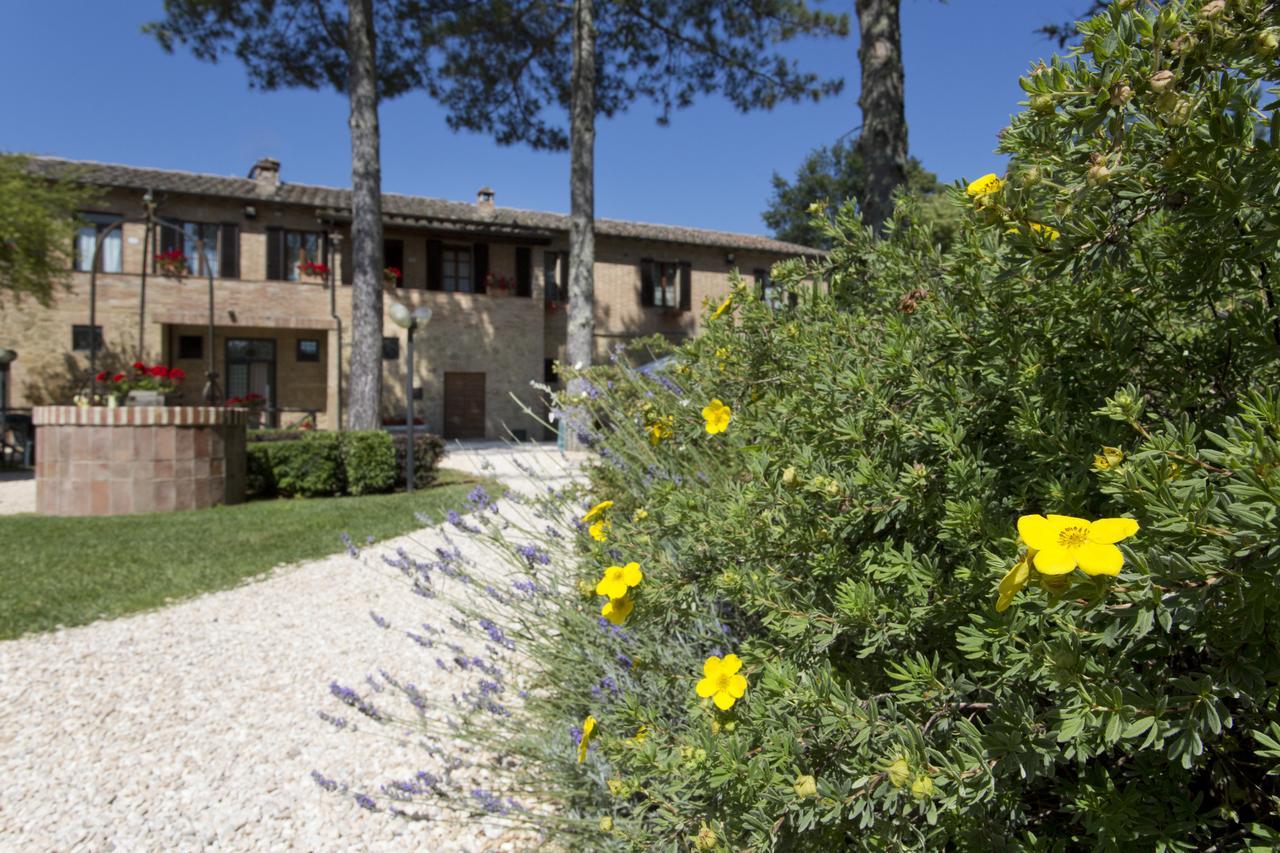 Casale San Galgano Aparthotel Chiusdino Luaran gambar